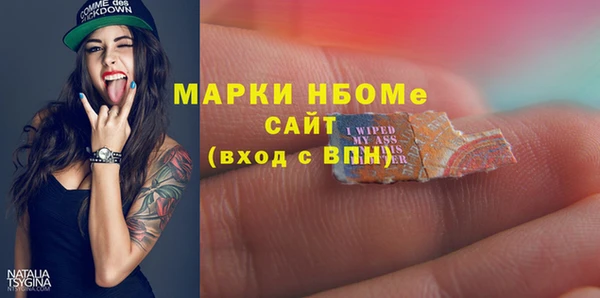 сатива Липки