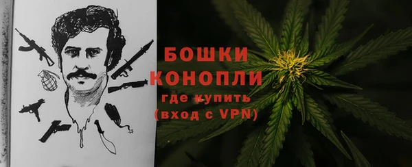 сатива Липки
