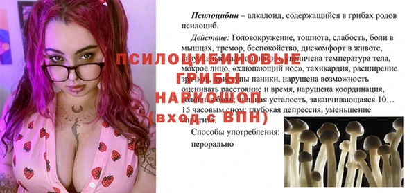 сатива Липки