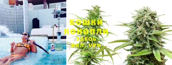 сатива Липки
