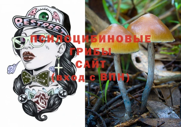 сатива Липки