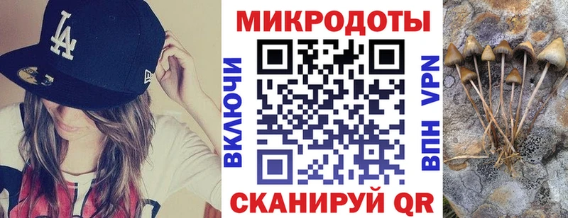 Галлюциногенные грибы мицелий Санкт-Петербург