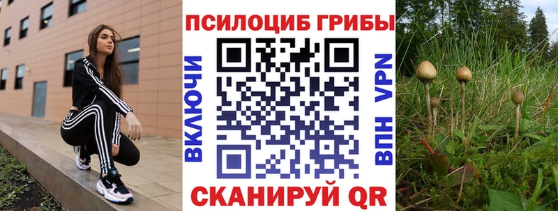 Псилоцибиновые грибы прущие грибы  где купить наркоту  Санкт-Петербург 