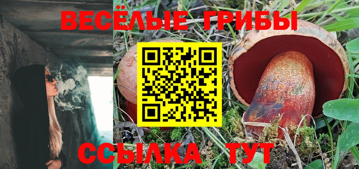Псилоцибиновые грибы Санкт-Петербург