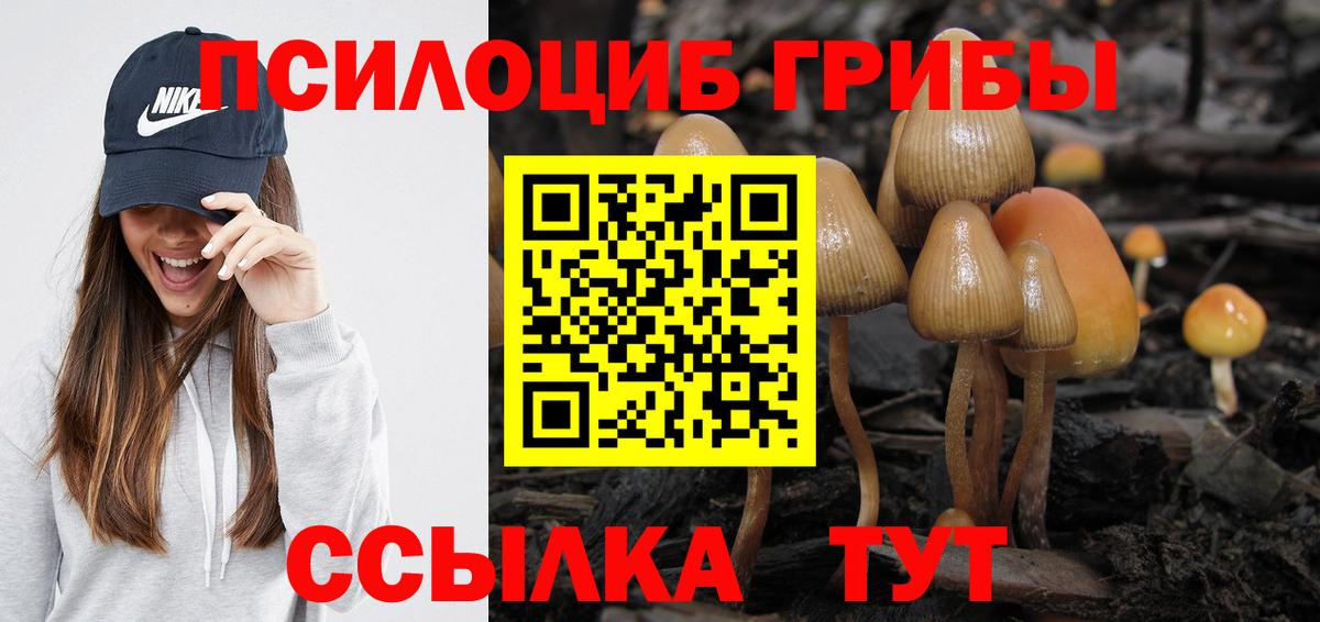 Санкт-Петербург  Галлюциногенные грибы Psilocybine cubensis  Псилоцибиновые грибы Magic Shrooms  Вход с VPN 