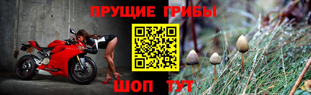 Псилоцибиновые грибы Magic Shrooms  Галлюциногенные грибы мухоморы  Санкт-Петербург 